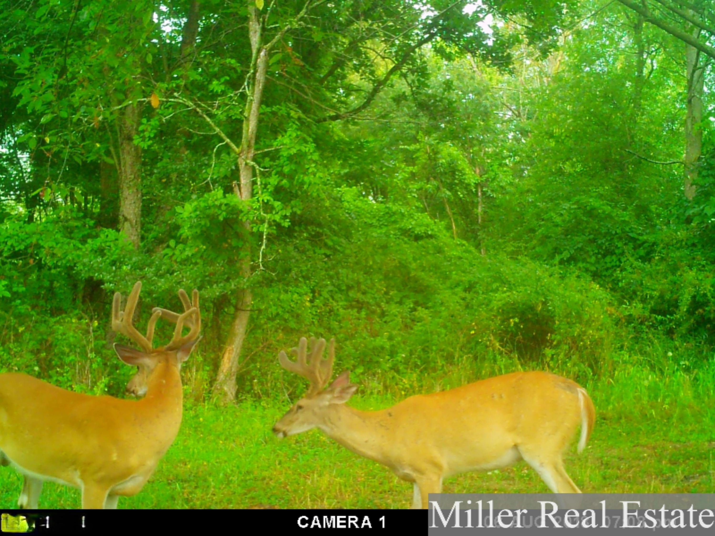 7789 East State Road Nashville, MI 49073 - Photo 46 of 55 MFDC5761