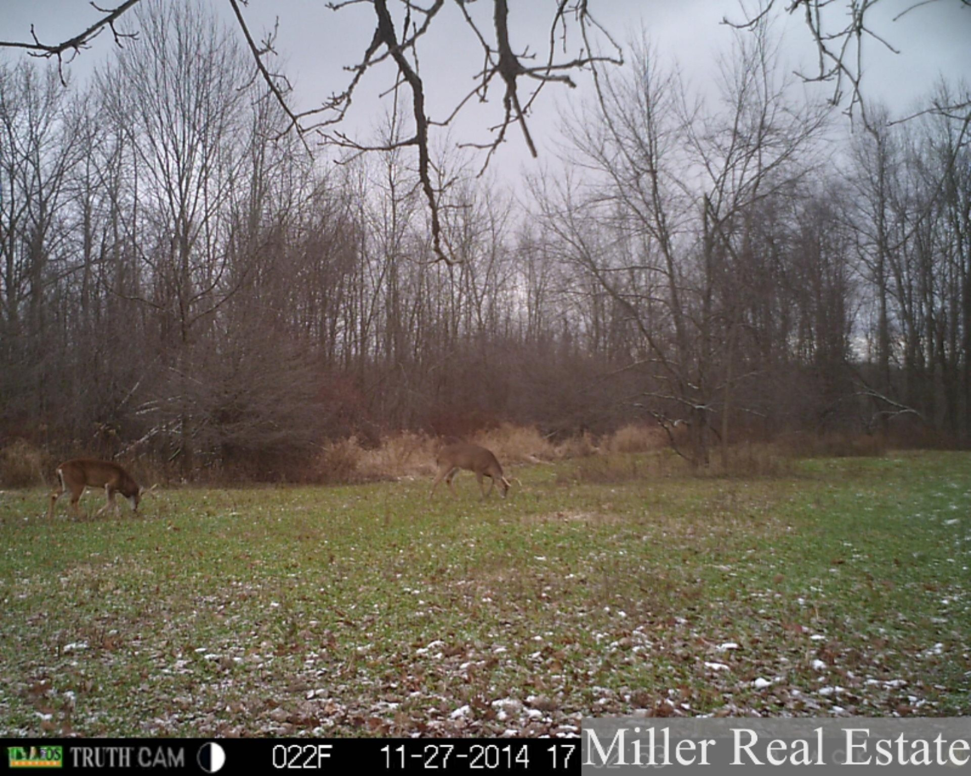 7789 East State Road Nashville, MI 49073 - Photo 47 of 55 PRMS0067