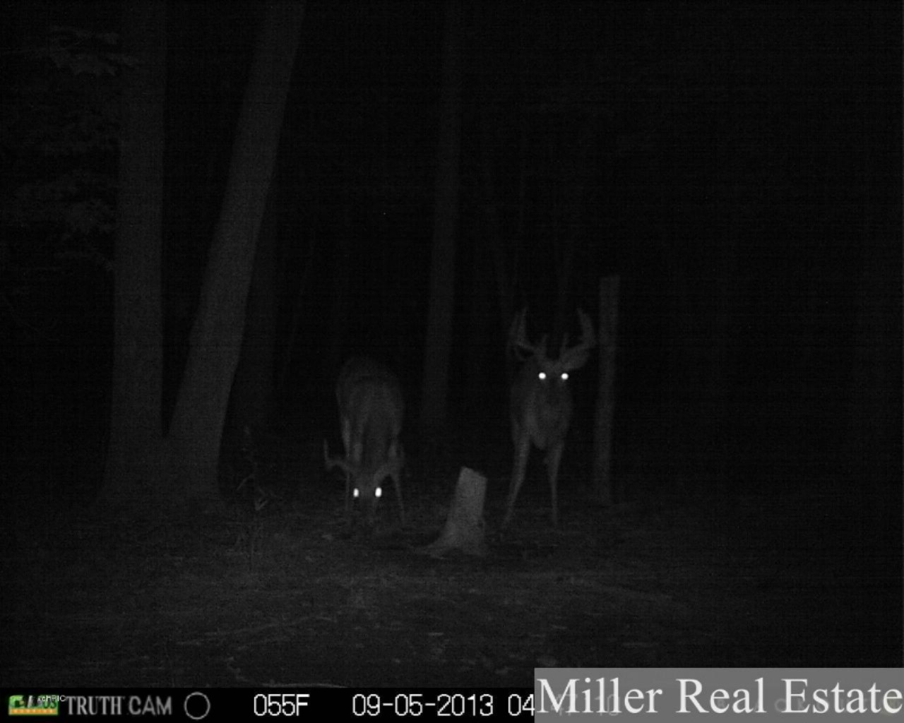 7789 East State Road Nashville, MI 49073 - Photo 48 of 55 PRMS0112