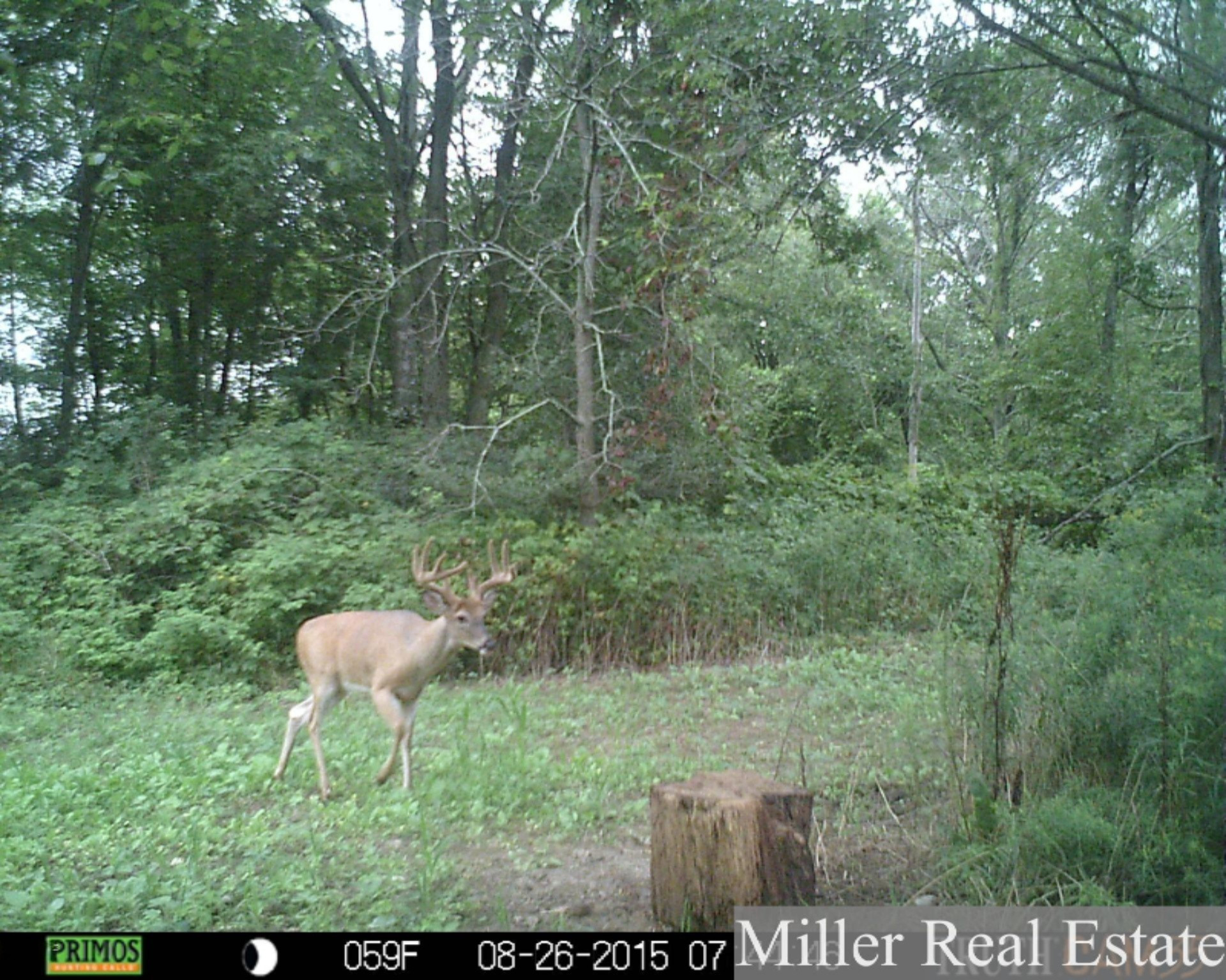 7789 East State Road Nashville, MI 49073 - Photo 50 of 55 PRMS0153 (2)