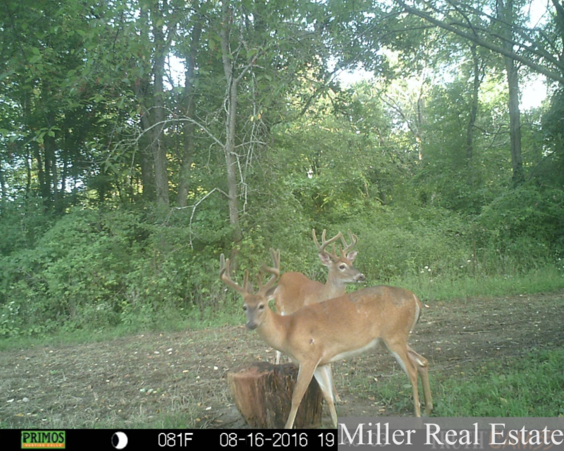 7789 East State Road Nashville, MI 49073 - Photo 51 of 55 PRMS0164