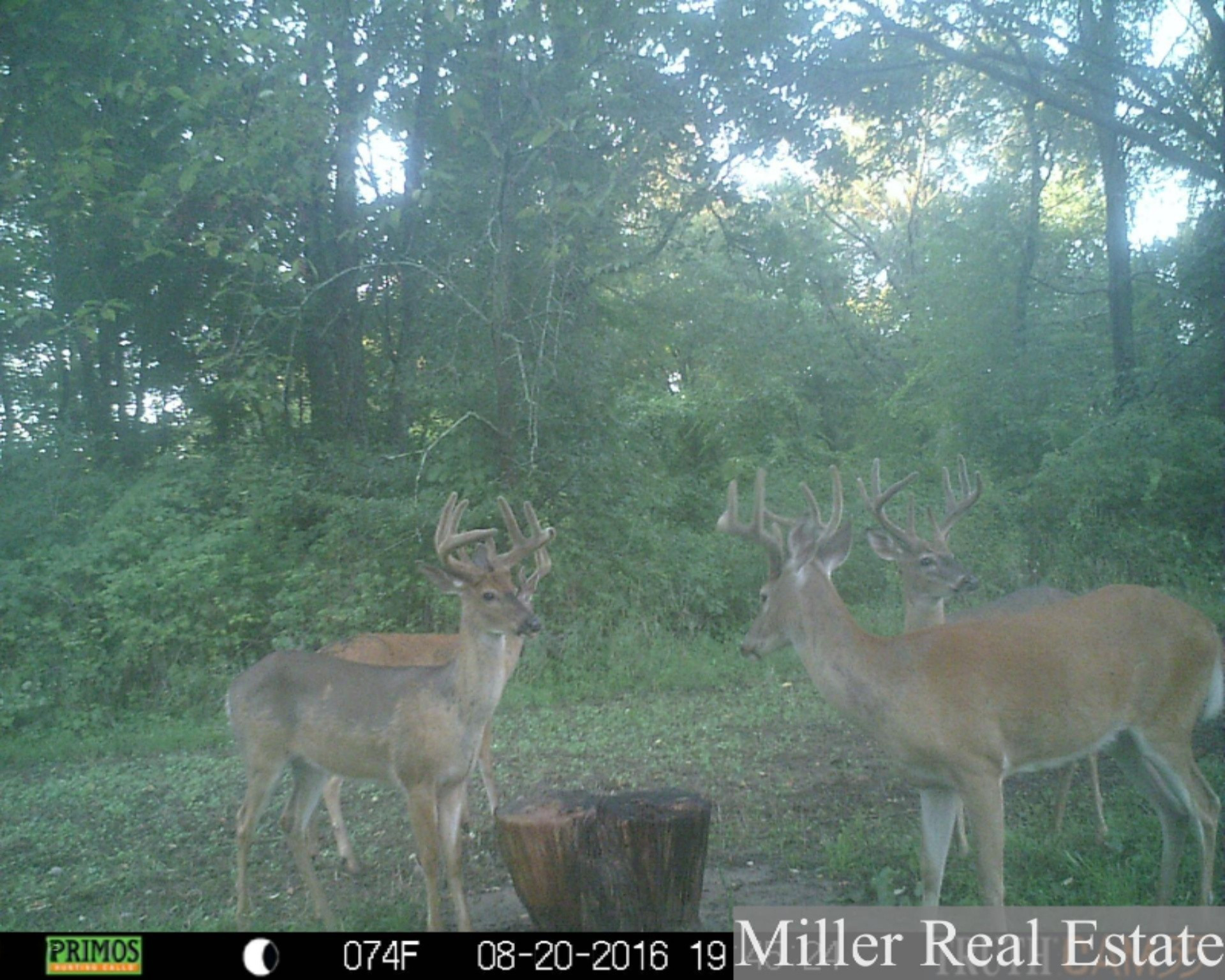7789 East State Road Nashville, MI 49073 - Photo 52 of 55 PRMS0216