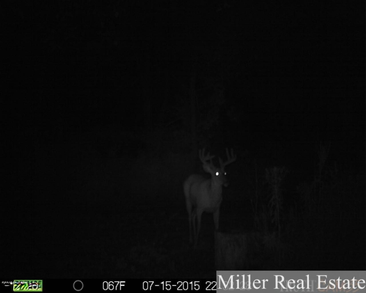 7789 East State Road Nashville, MI 49073 - Photo 53 of 55 PRMS0404 (2)