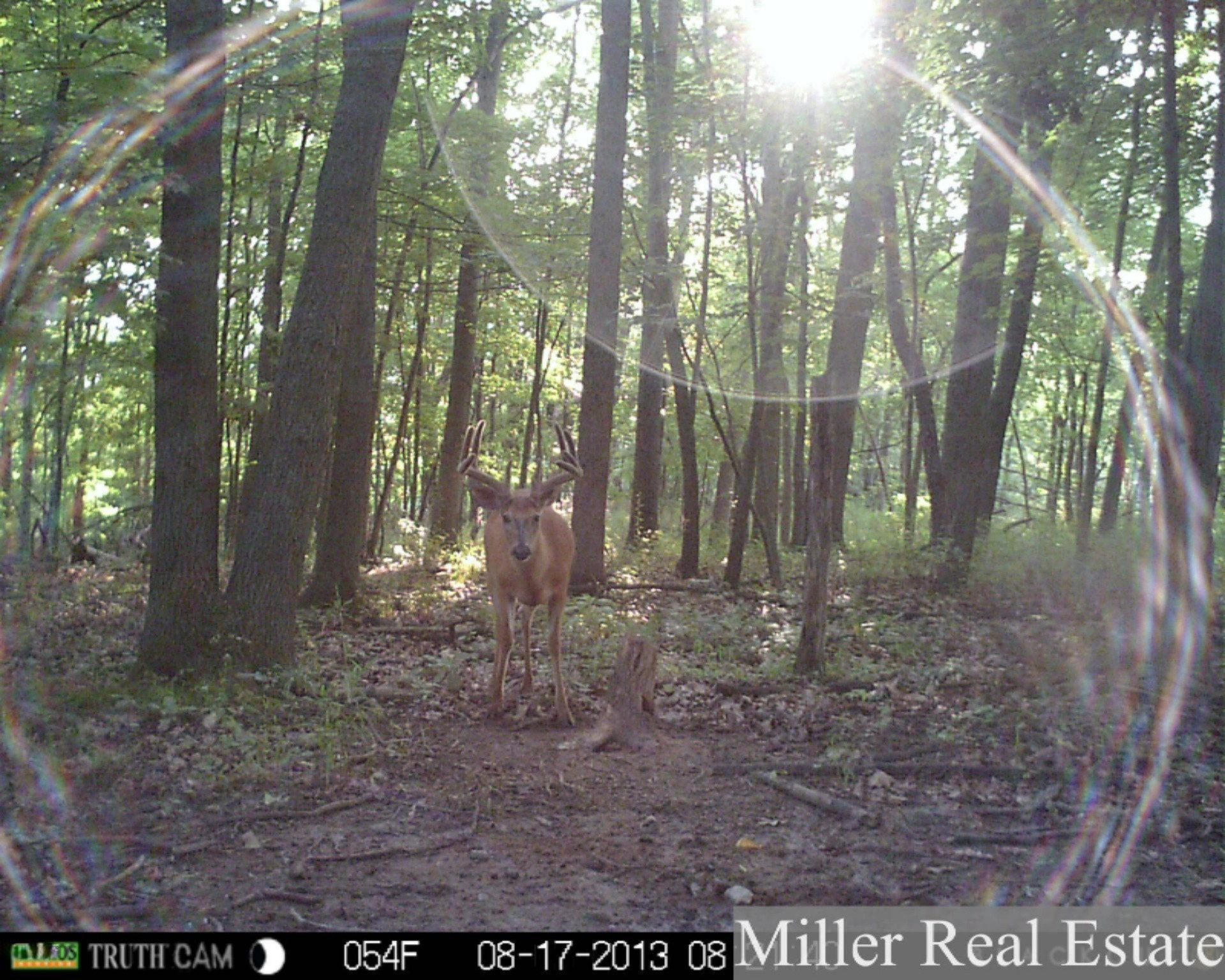 7789 East State Road Nashville, MI 49073 - Photo 54 of 55 PRMS0602