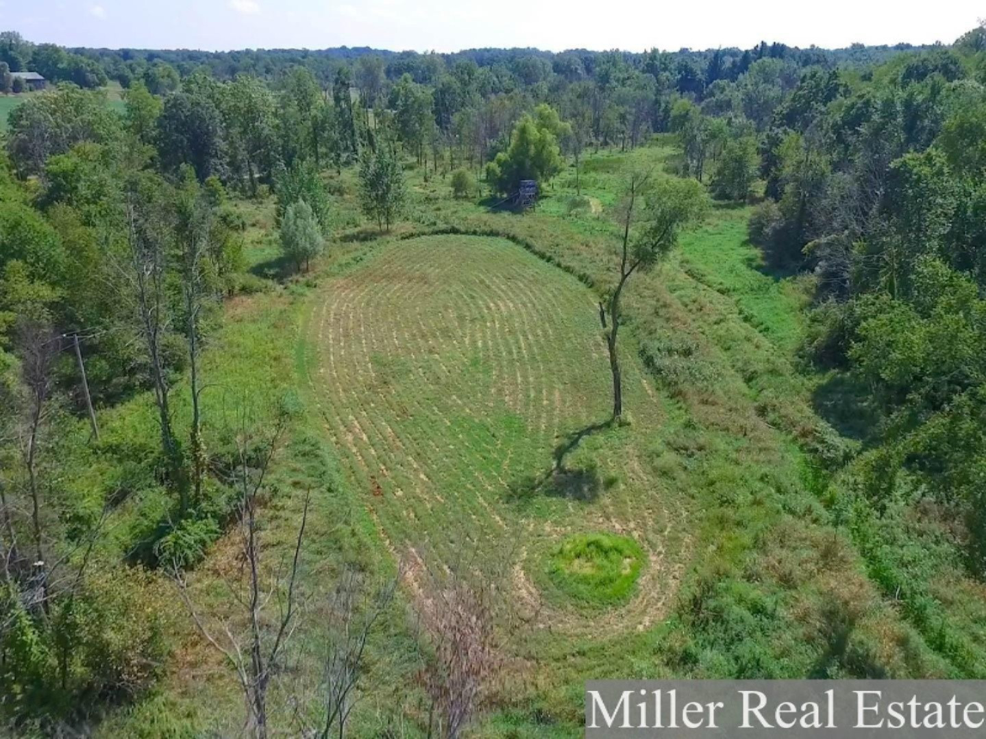 7789 East State Road Nashville, MI 49073 - Photo 9 of 55 Aerial 7