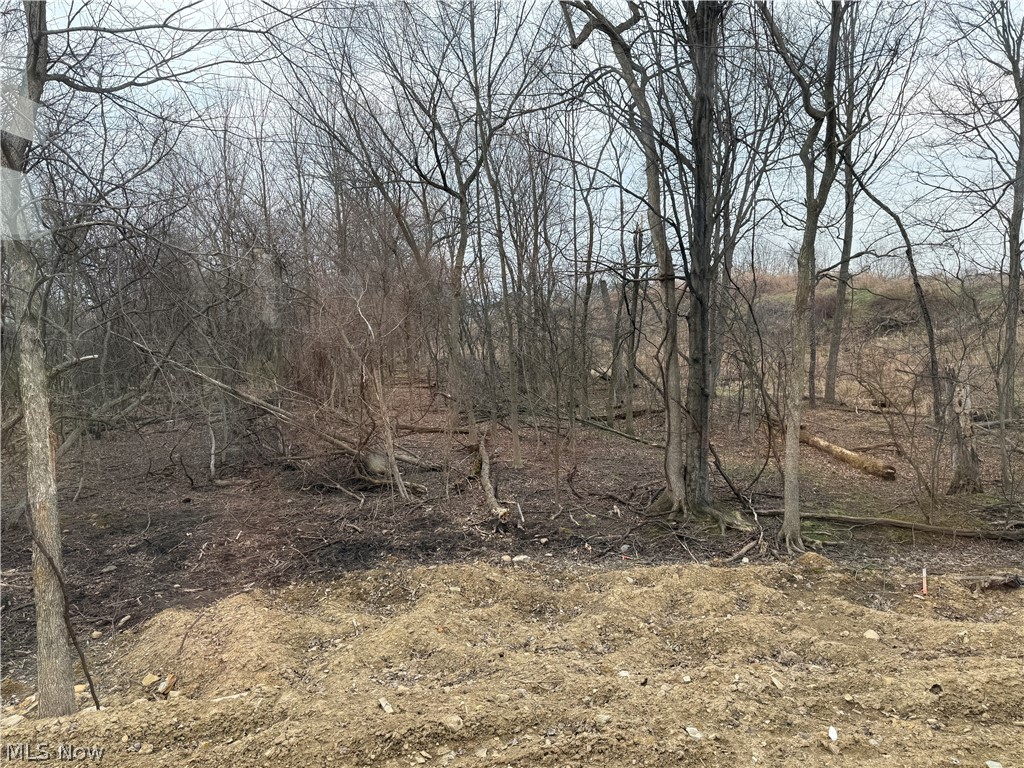 25 Devon Path Medina, OH 44256 - Photo 10 of 10