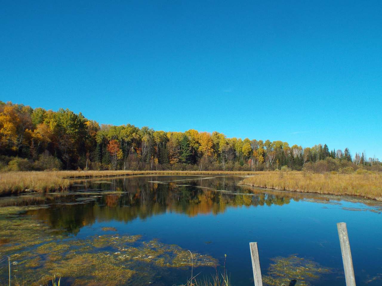 1132 Range Line Road Wabeno, WI 54566 - Photo 25 of 62 Gallery Image 25