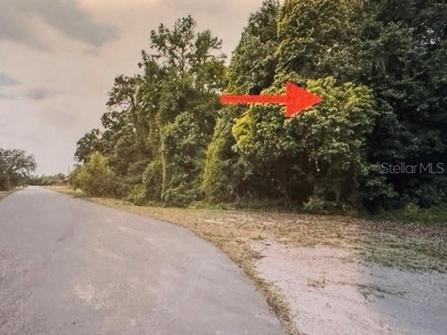 Iron Bridge Road Oviedo, FL 32765 - Photo 1 of 1