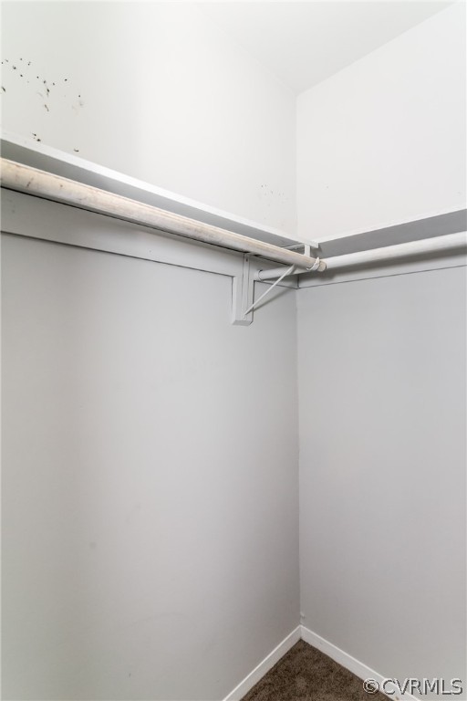 4403 Rabbit Foot Place North Chesterfield, VA 23236 - Photo 28 of 50 a close up view of racks on the wall