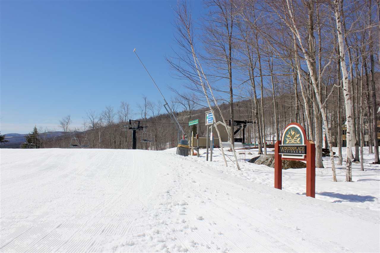 46 Fowler Road, Unit O301 Ludlow, VT 05149 - Photo 21 of 21 Gallery Image 21