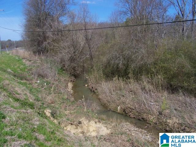 0 Mitchellville Road, Unit ACREAGE Lincoln, AL 35096 - Photo 12 of 19