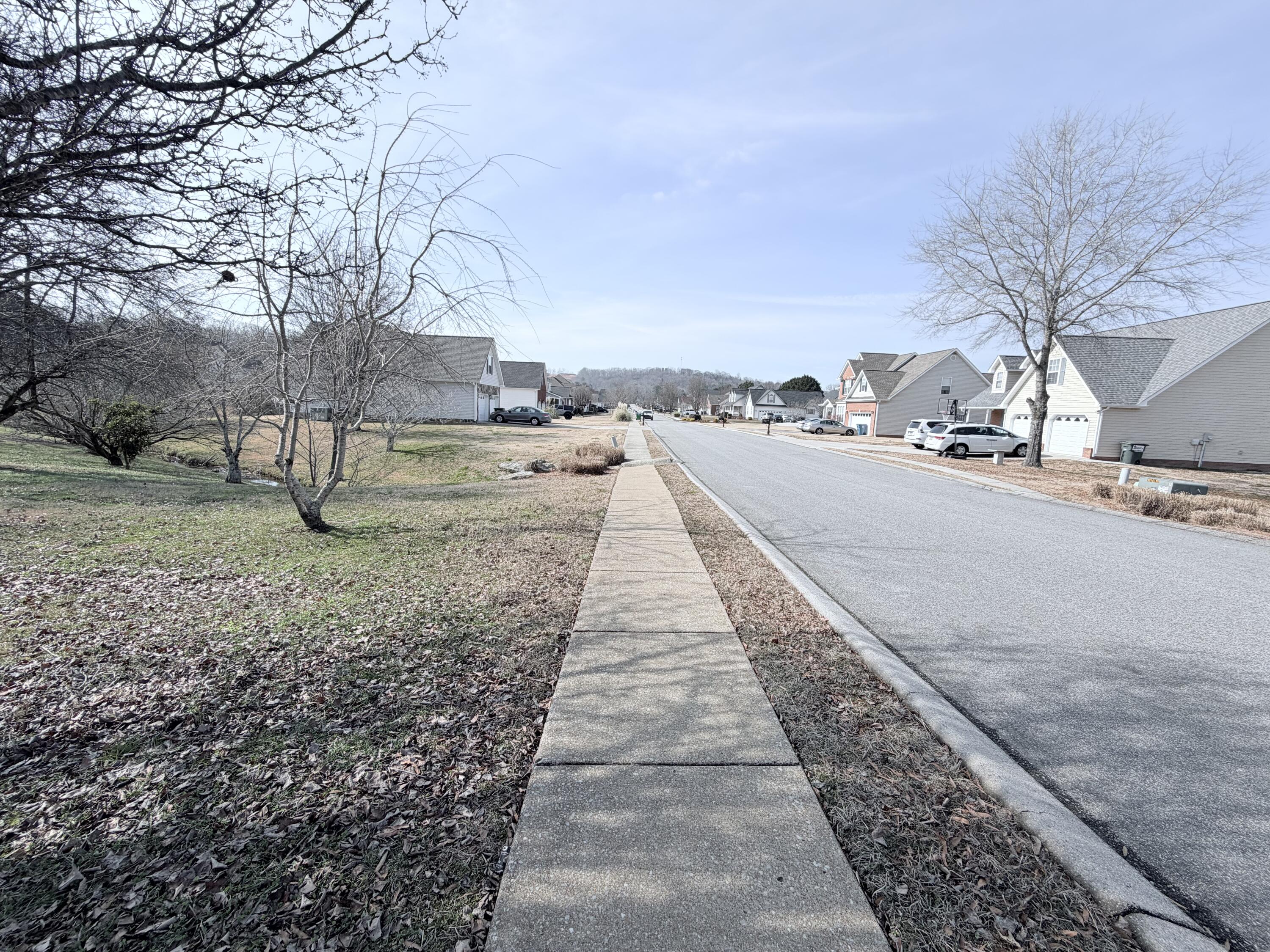 418 Water Mill Ringgold, GA 30736 - Photo 27 of 30 IMG_0918