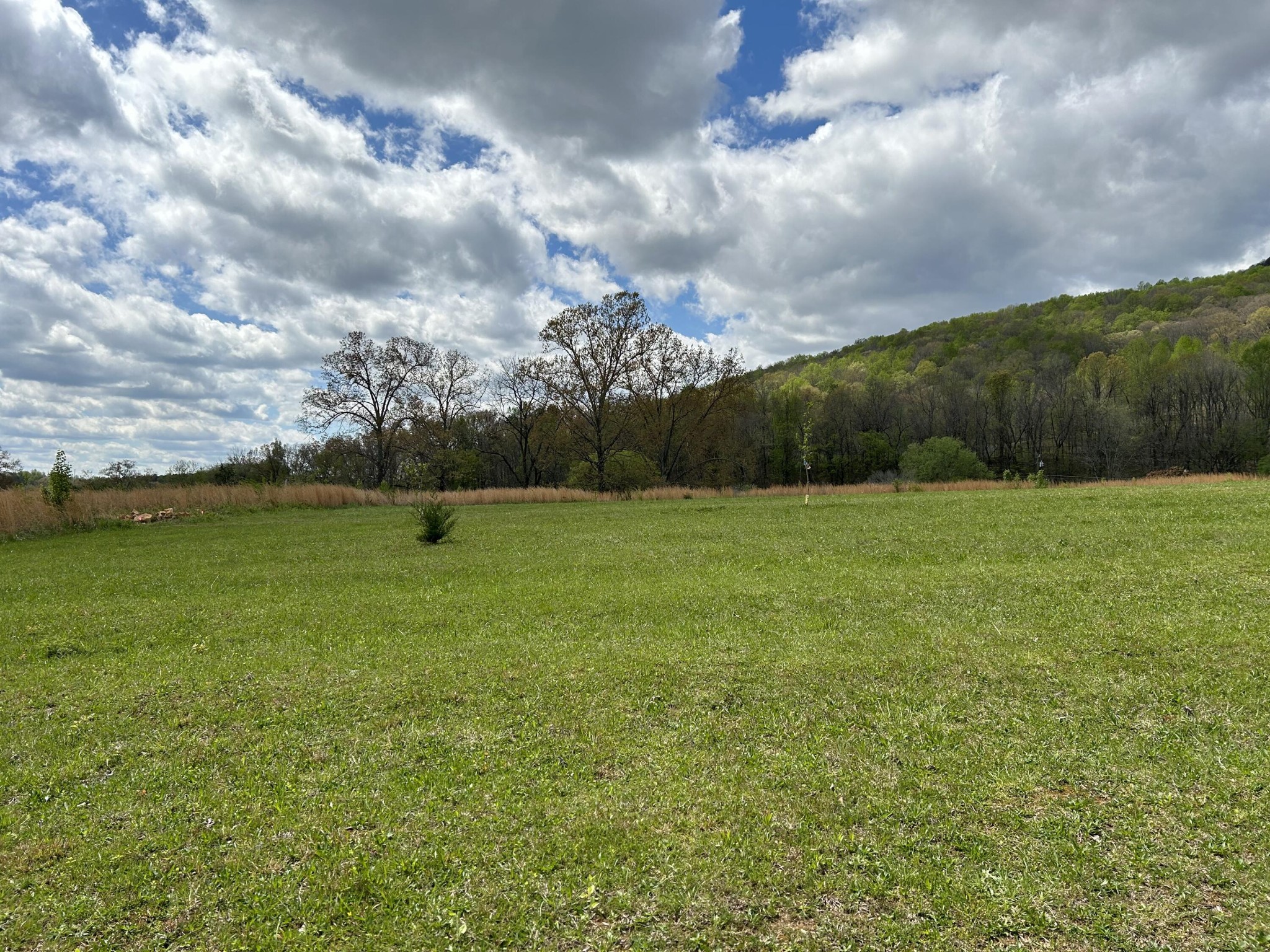 222 Waterfall Road Sequatchie, TN 37374 - Photo 6 of 34 Gallery Image 6