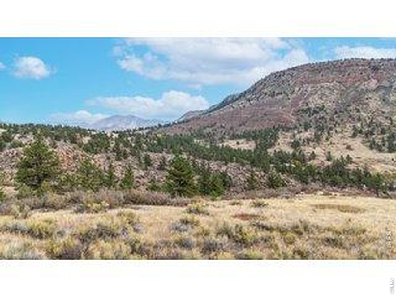 2155 Apple Valley Road Lyons, CO 80540 - Photo 6 of 15