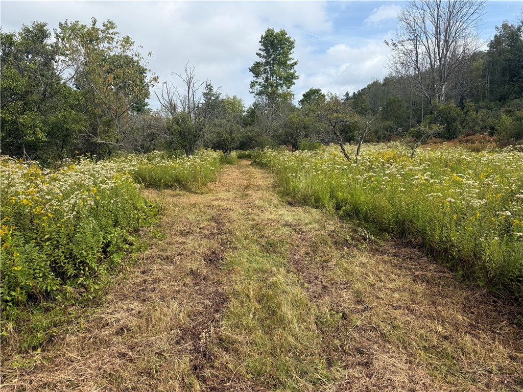 512 Fisher Road Alfred, NY 14806 - Photo 42 of 46 30-acre parcel