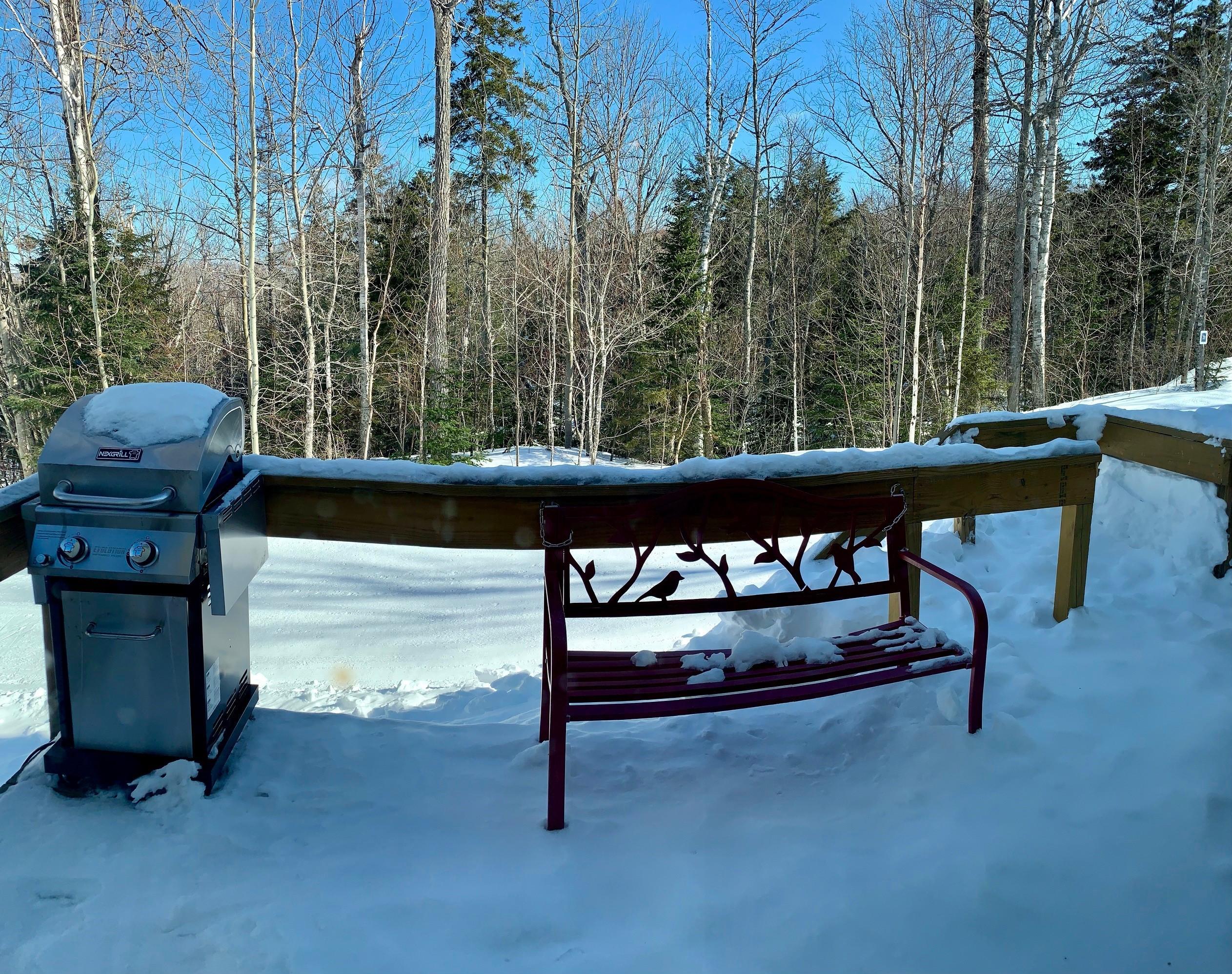 2152 Burnt Mountain Road, Unit 2152 Carrabassett Valley, ME 04947 - Photo 7 of 19 Deck