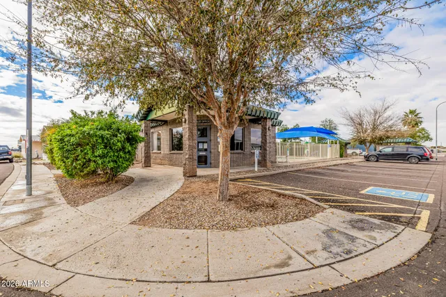 a view of road with large trees