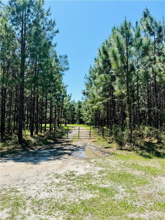30.46-acres Minton Road Townsend, GA 31331 - Photo 2 of 22