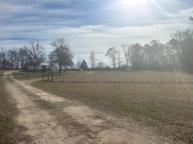 3832 Highway 102 Mitchell, GA 30820 - Photo 8 of 9 102 6
