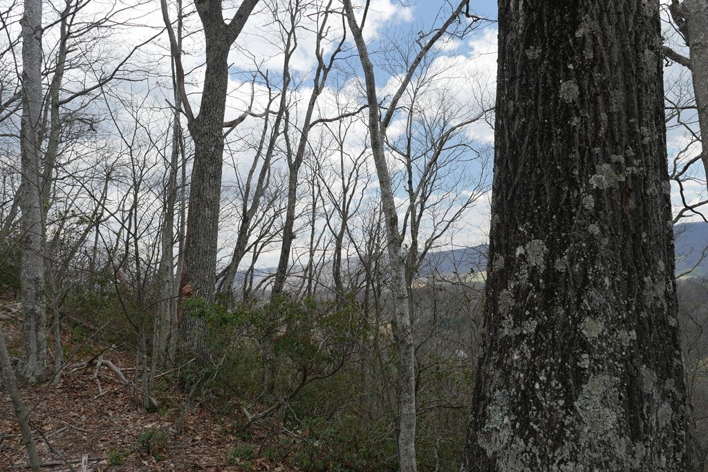 Tbd Unity Road, Unit 1 North Tazewell, VA 24630 - Photo 23 of 92 Gallery Image 23