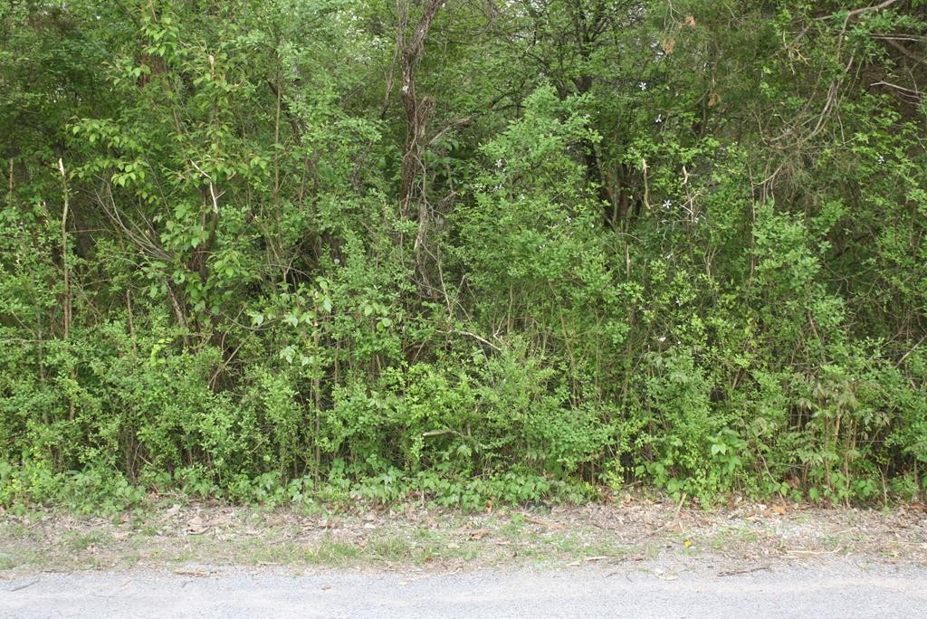 0 Mccuiston Rd Spring Spring City, TN 37381 - Photo 1 of 3 Gallery Image 1