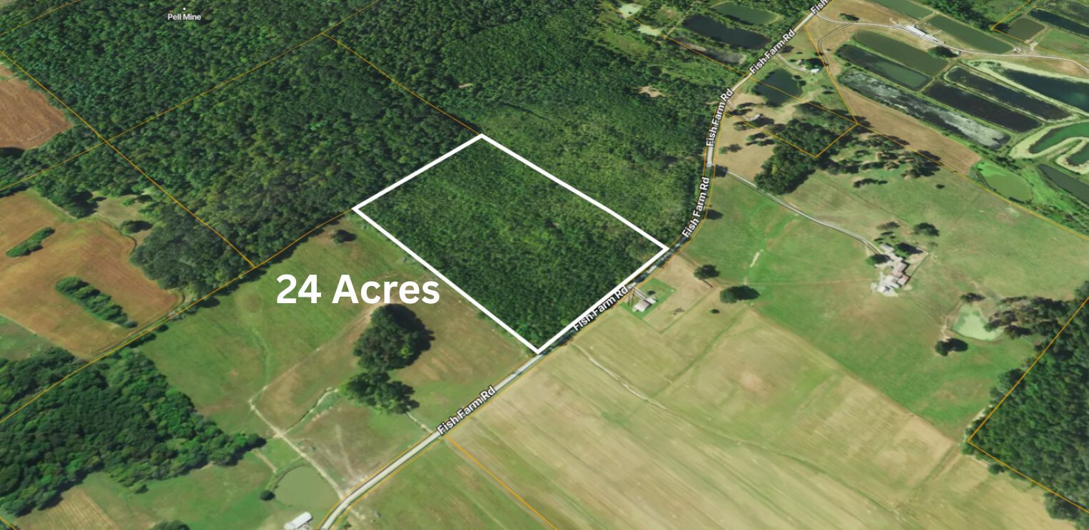 72 Fish Farm Road Golconda, IL 62938 - Photo 6 of 15