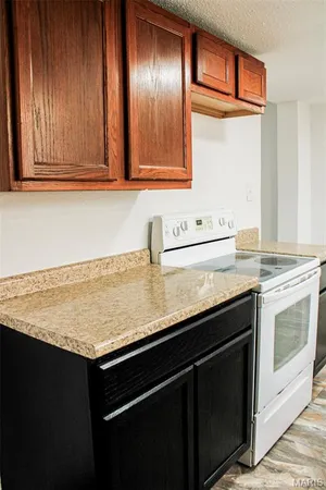 $135,000 | 301 West North Street, Leadwood, MO 63653