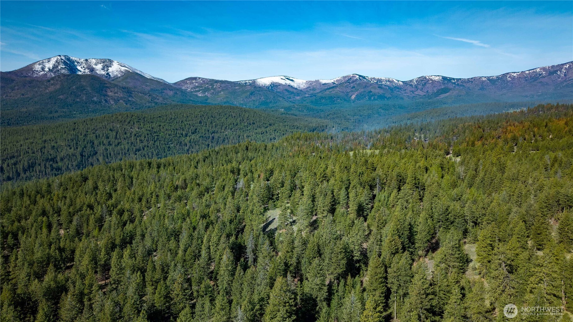 0 Mineral Hill Road Conconully, WA 98819 - Photo 10 of 30 Gallery Image 10