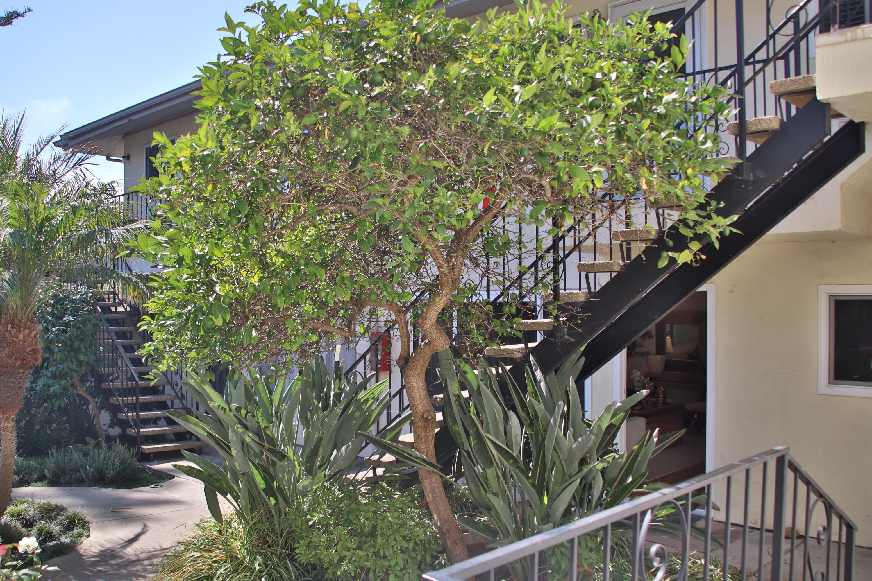 7560 Cathedral Oaks Road, Unit 3 Santa Barbara, CA 93117 - Photo 30 of 40 Common Area