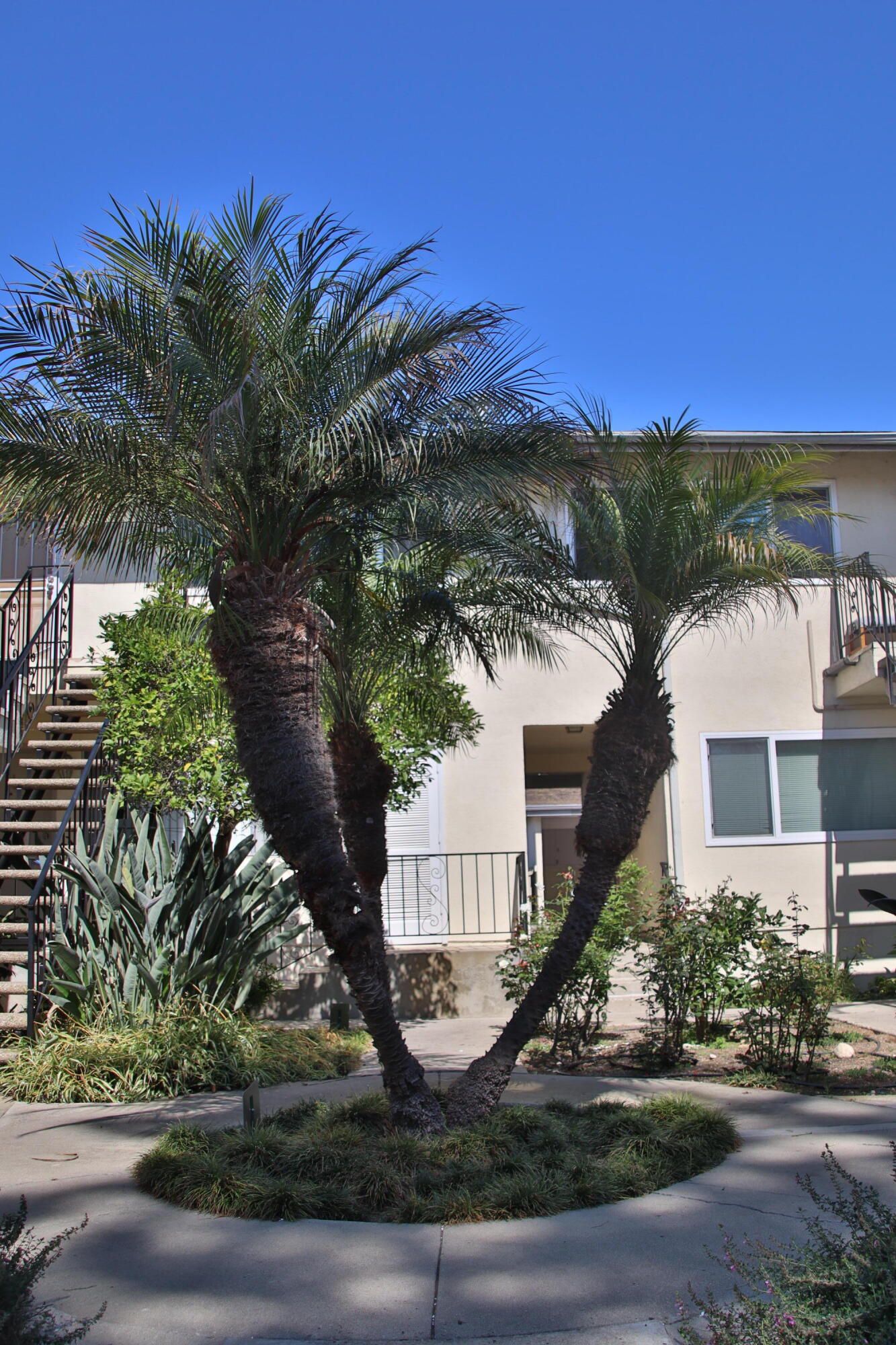 7560 Cathedral Oaks Road, Unit 3 Santa Barbara, CA 93117 - Photo 3 of 40 Common Area