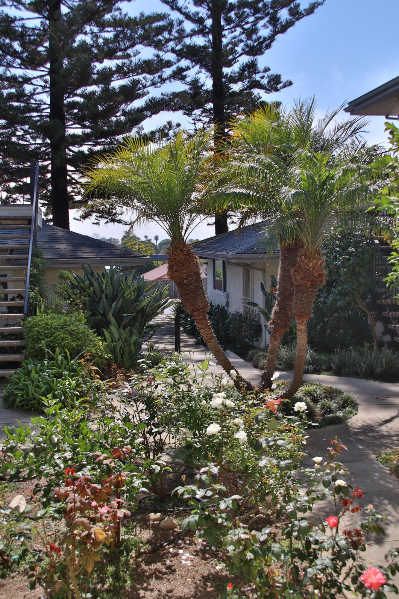 7560 Cathedral Oaks Road, Unit 3 Santa Barbara, CA 93117 - Photo 31 of 40 Common Area