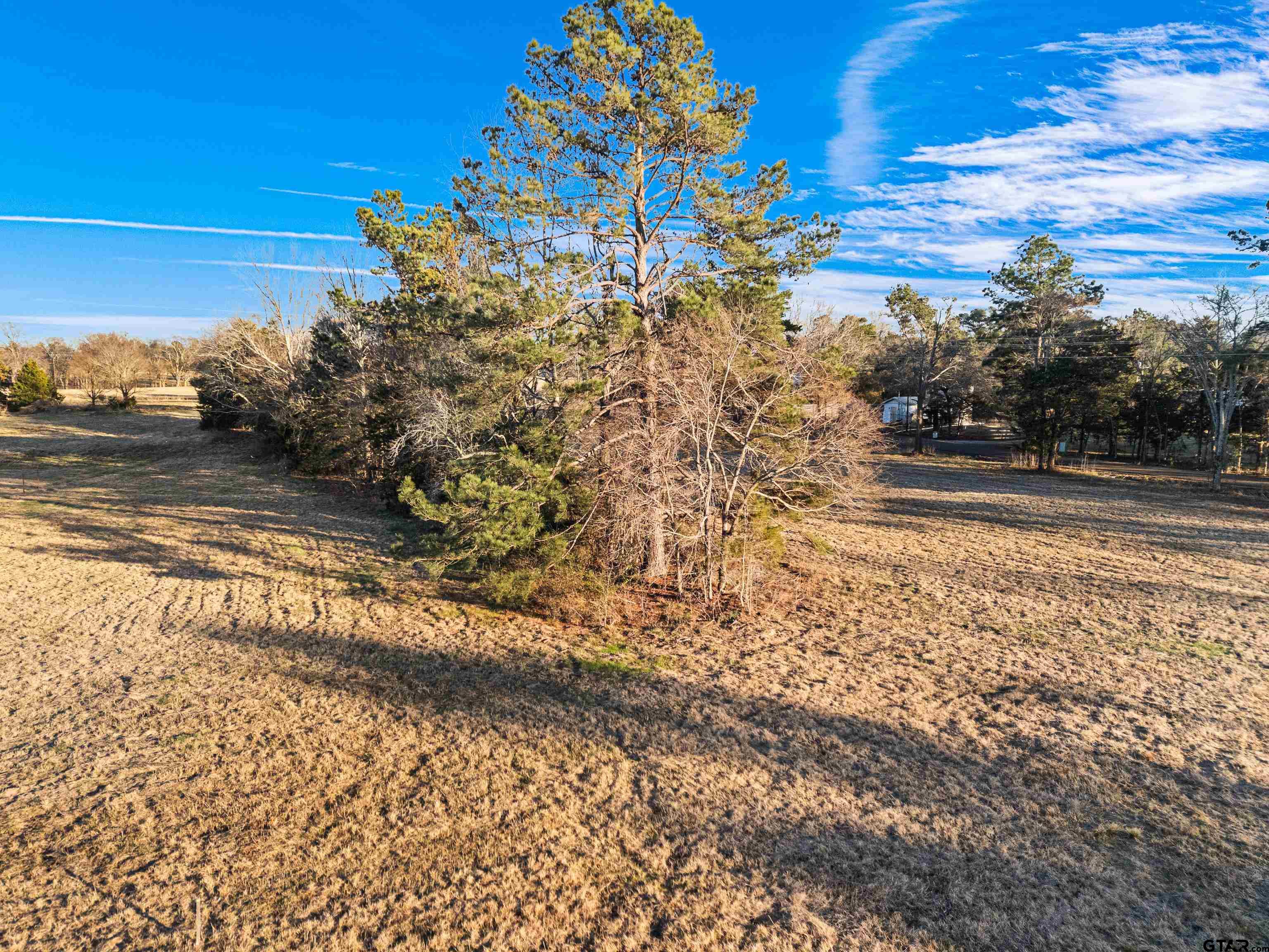 Lot 1 Ridgeway Court Winona, TX 75792 - Photo 7 of 19