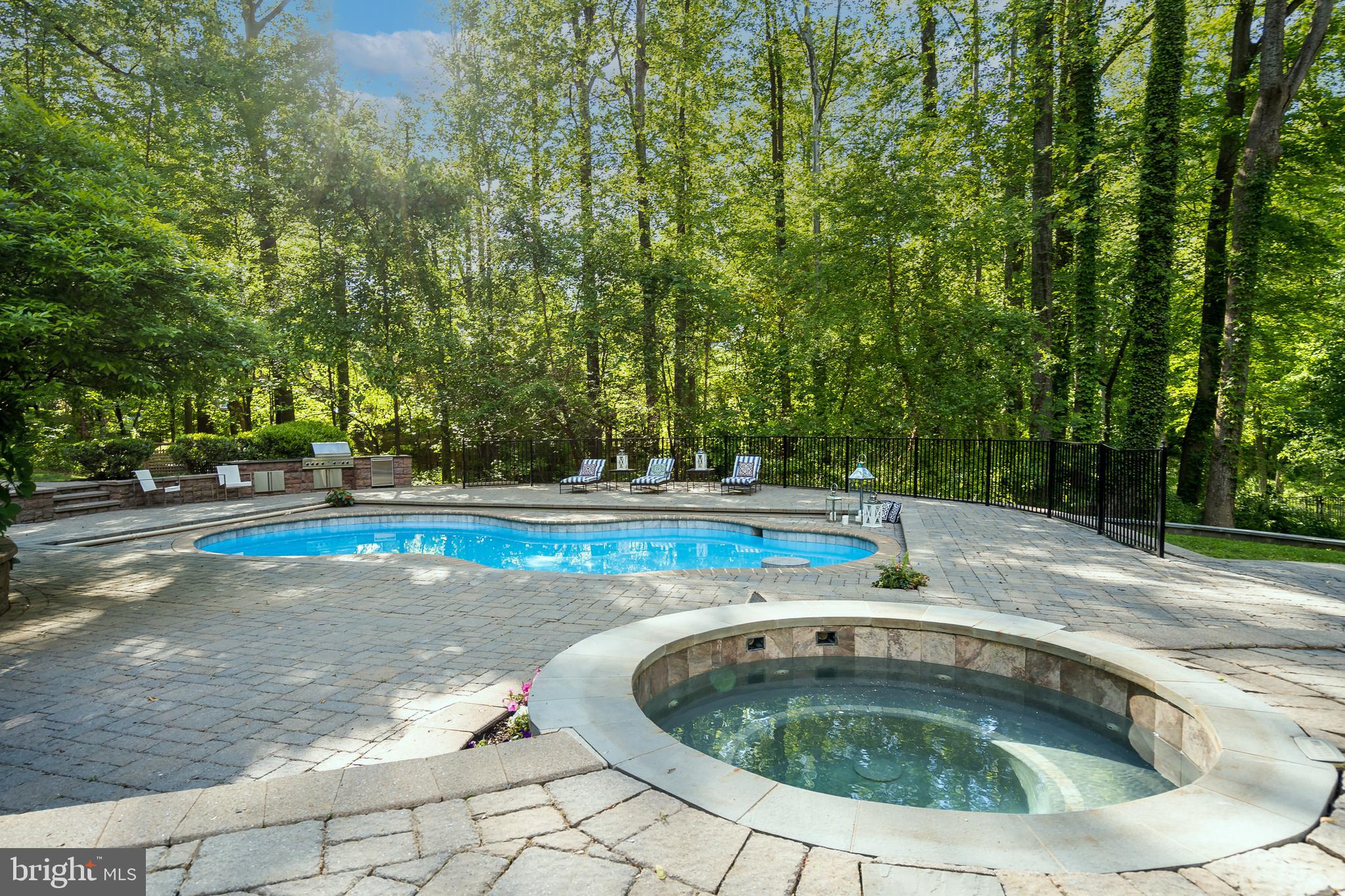 1348 Windy Hill Road McLean, VA 22102 - Photo 56 of 66 Hot Tub