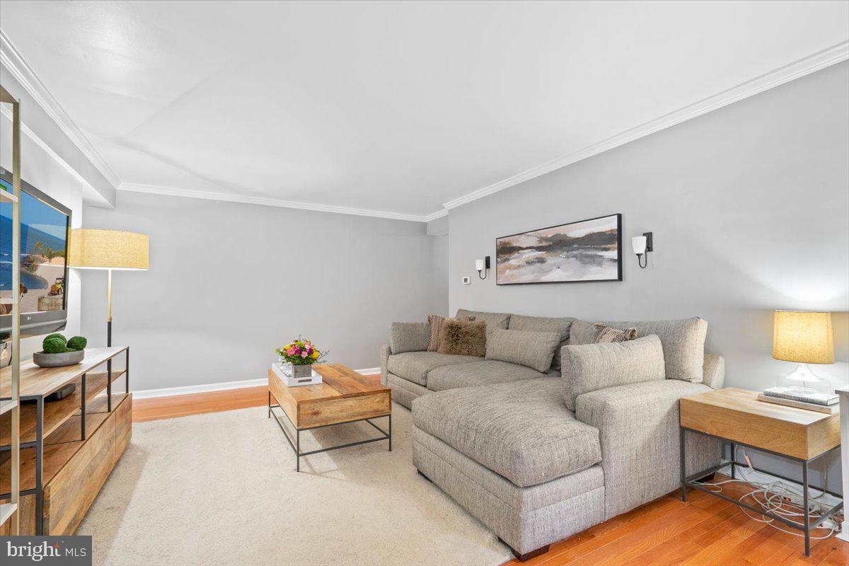 3332 Spring Lane, Unit C10 Falls Church, VA 22041 - Photo 10 of 25 a living room with furniture and a couch