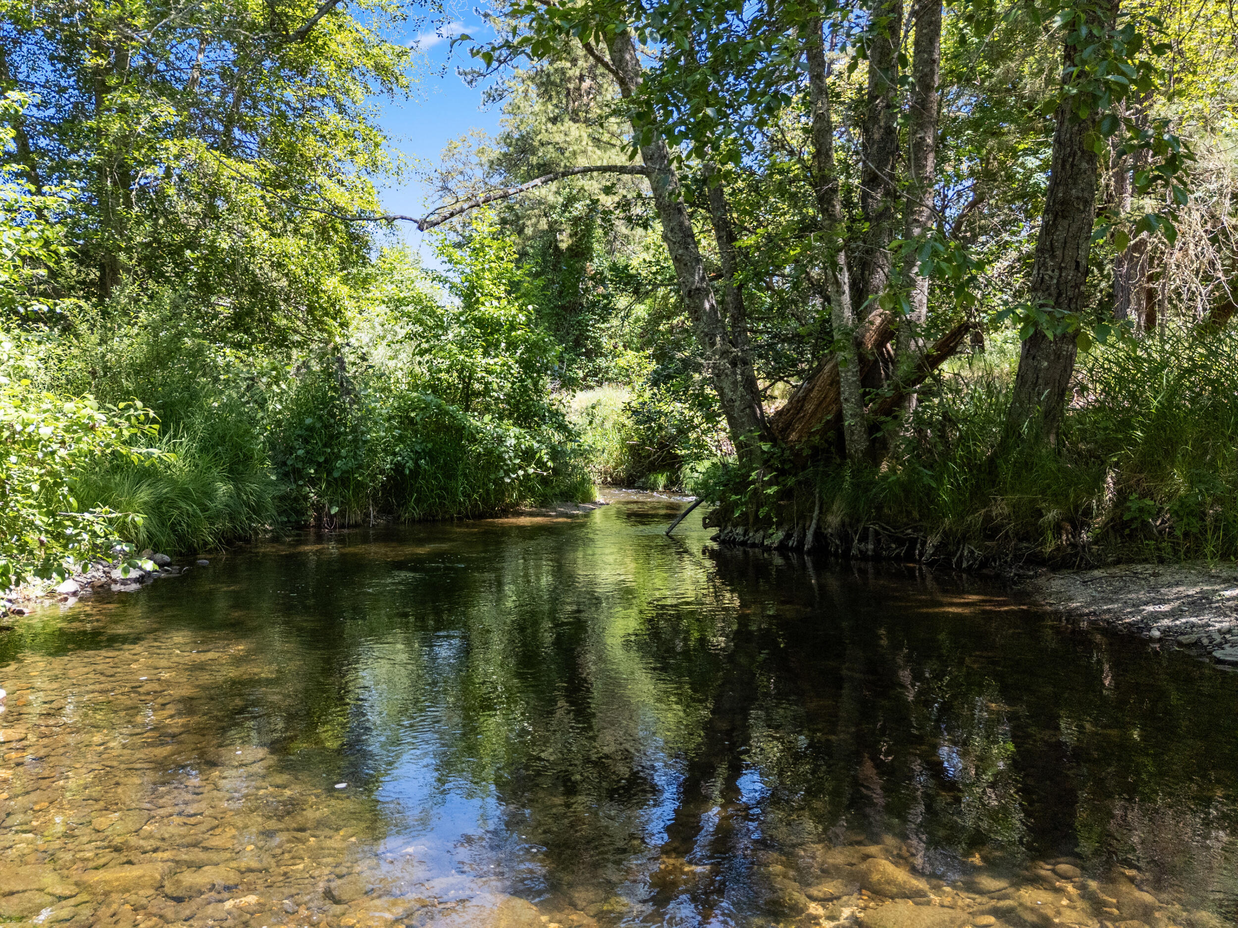 13500 East Evans Creek Road Rogue River, OR 97537 - Photo 22 of 78