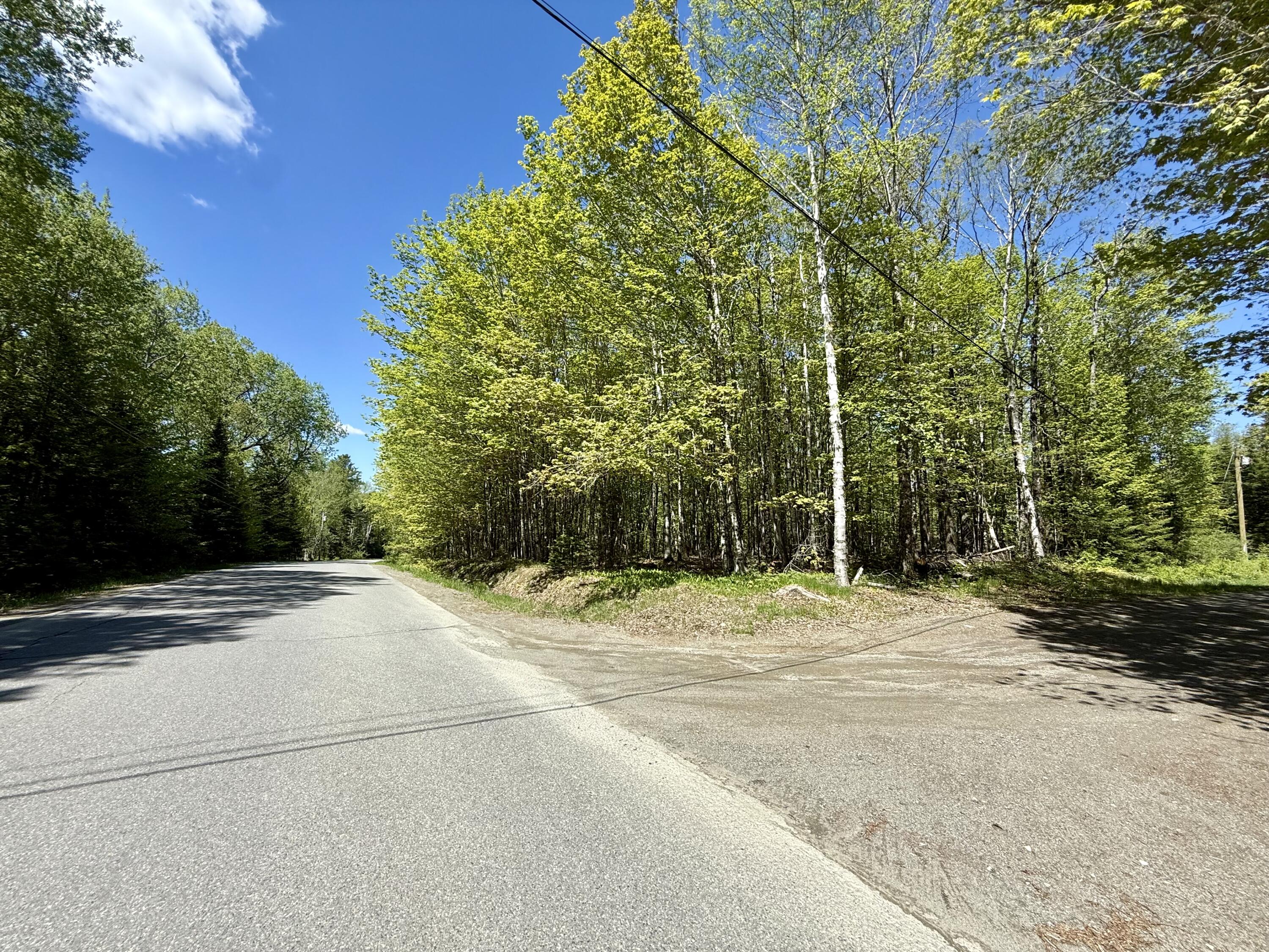 Lot34 I Scammon Road Greenville, ME 04441 - Photo 5 of 10 IMG_7678