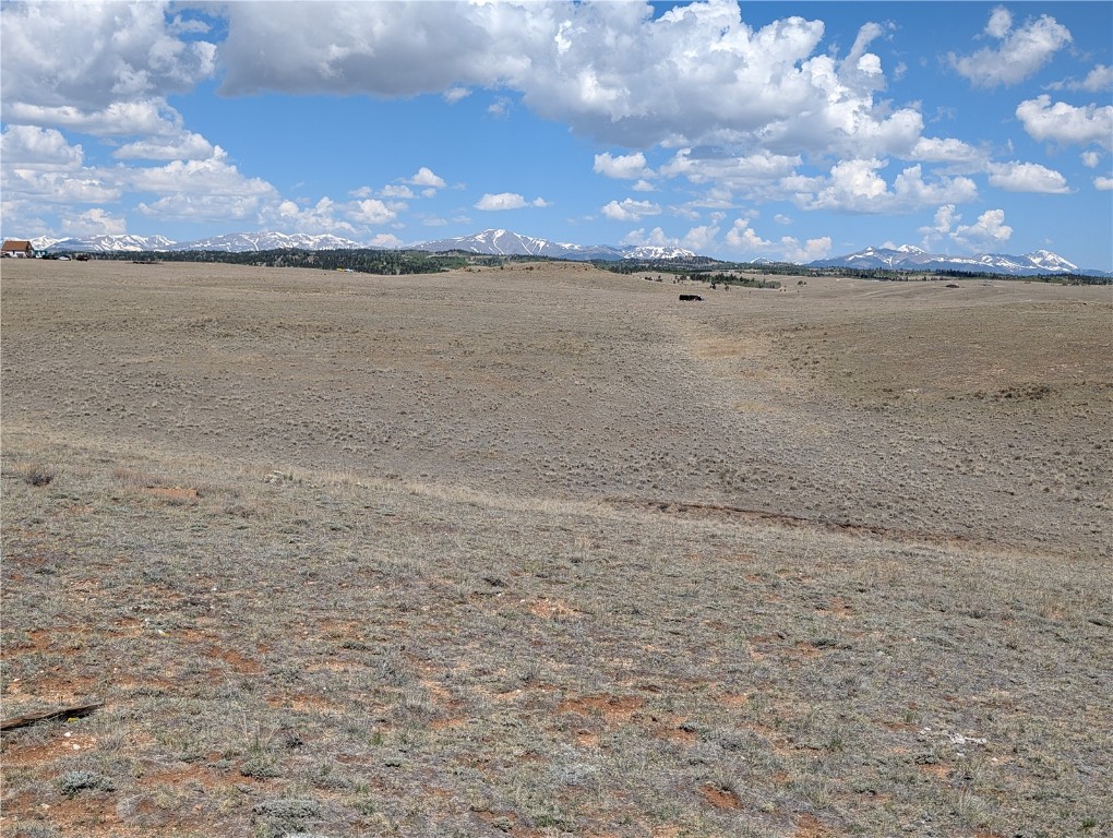 412 Andesite Way Como, CO 80432 - Photo 4 of 22