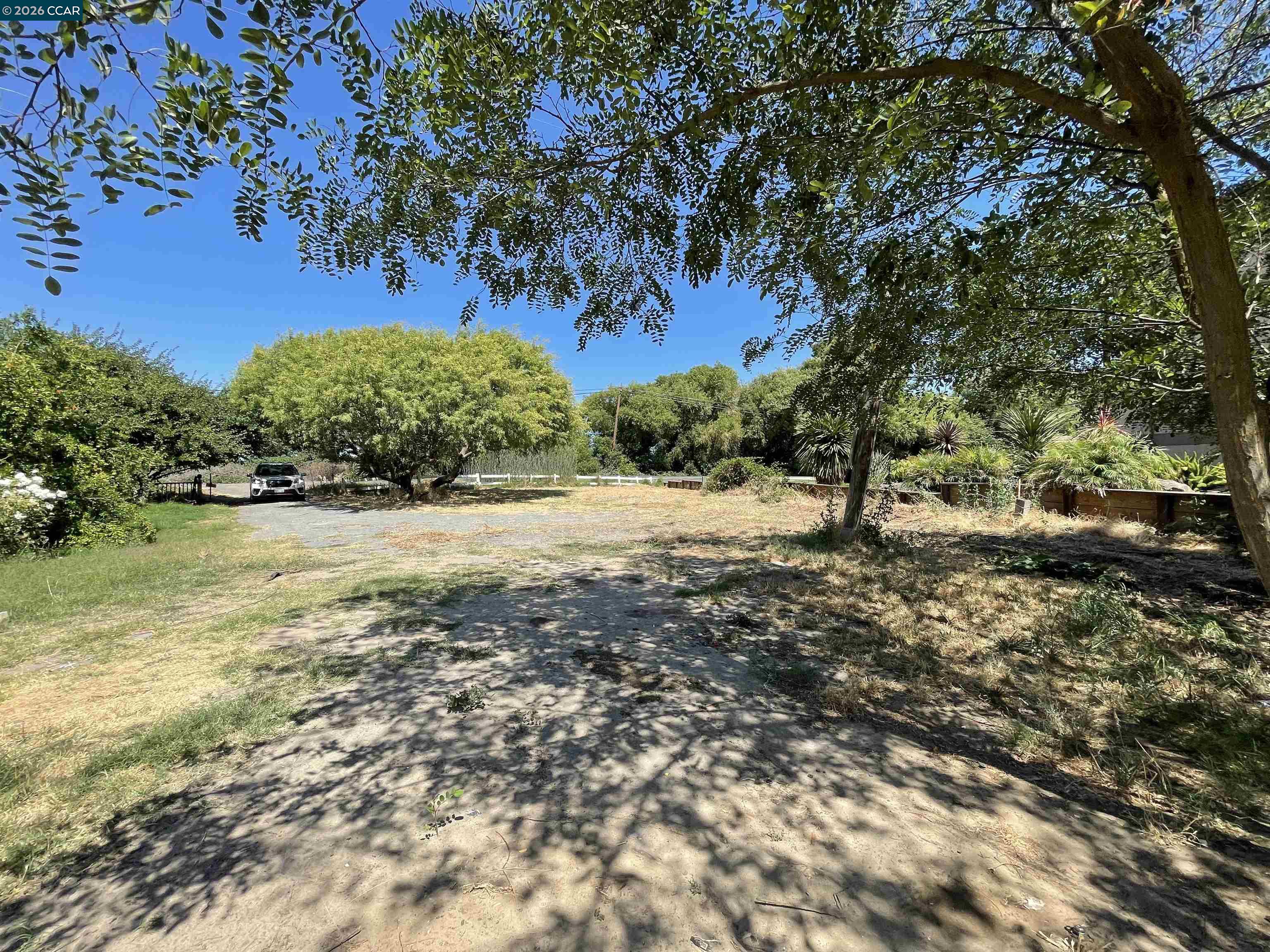 1766 Taylor Road Bethel Island, CA 94511 - Photo 15 of 22 a view of a yard with a tree