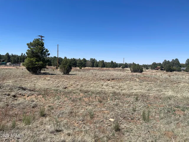 $31,500 | 2278 Meadow Lane, Unit 179, Overgaard, AZ 85933