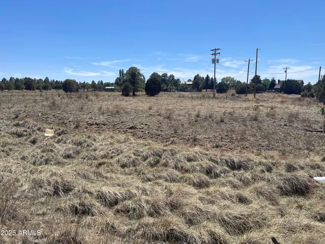 $31,500 | 2278 Meadow Lane, Unit 179, Overgaard, AZ 85933