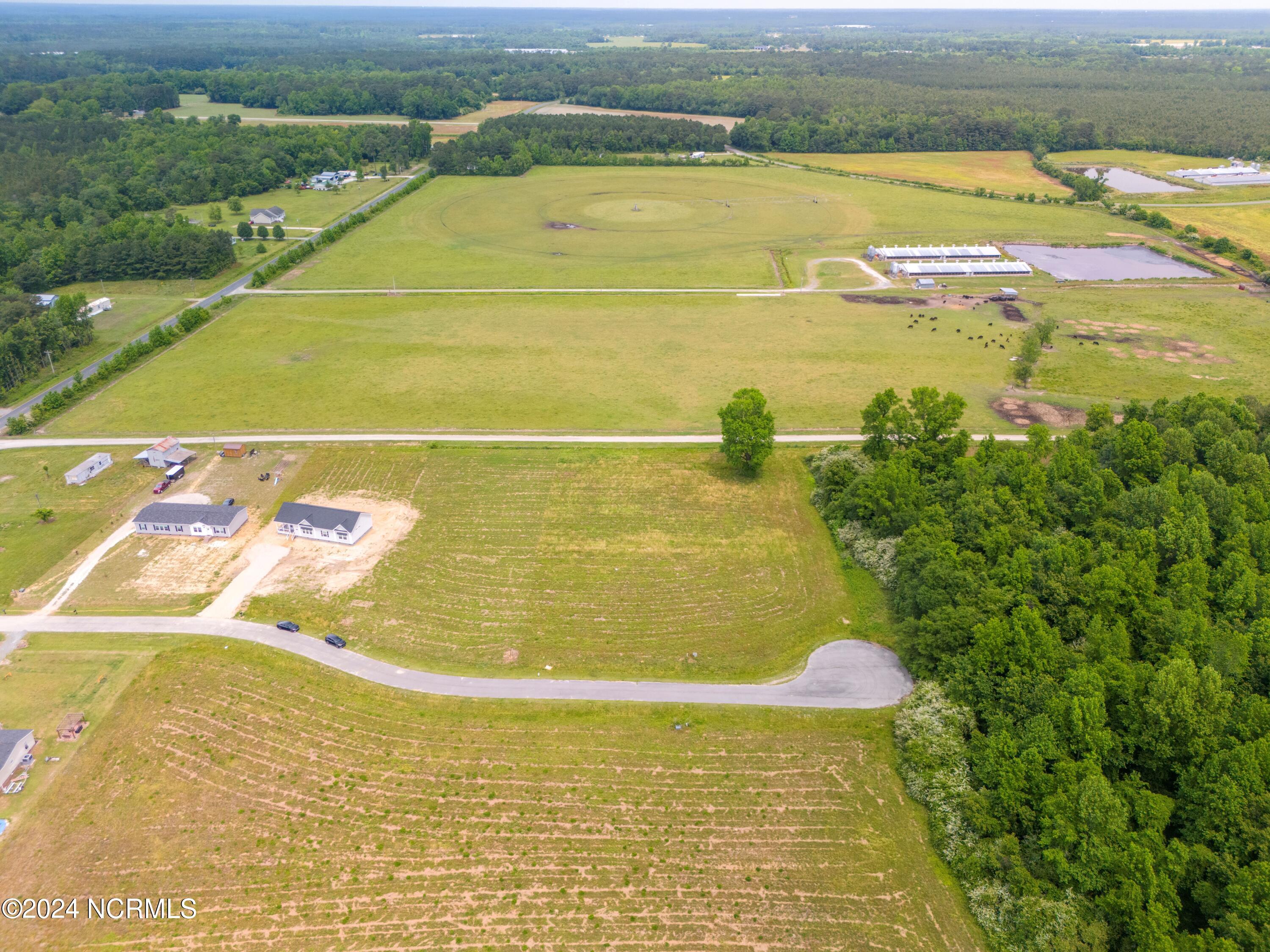 129 Sand Ridge Drive Beulaville, NC 28518 - Photo 6 of 14 1-DJI_20240503122613_0144_D-HDR