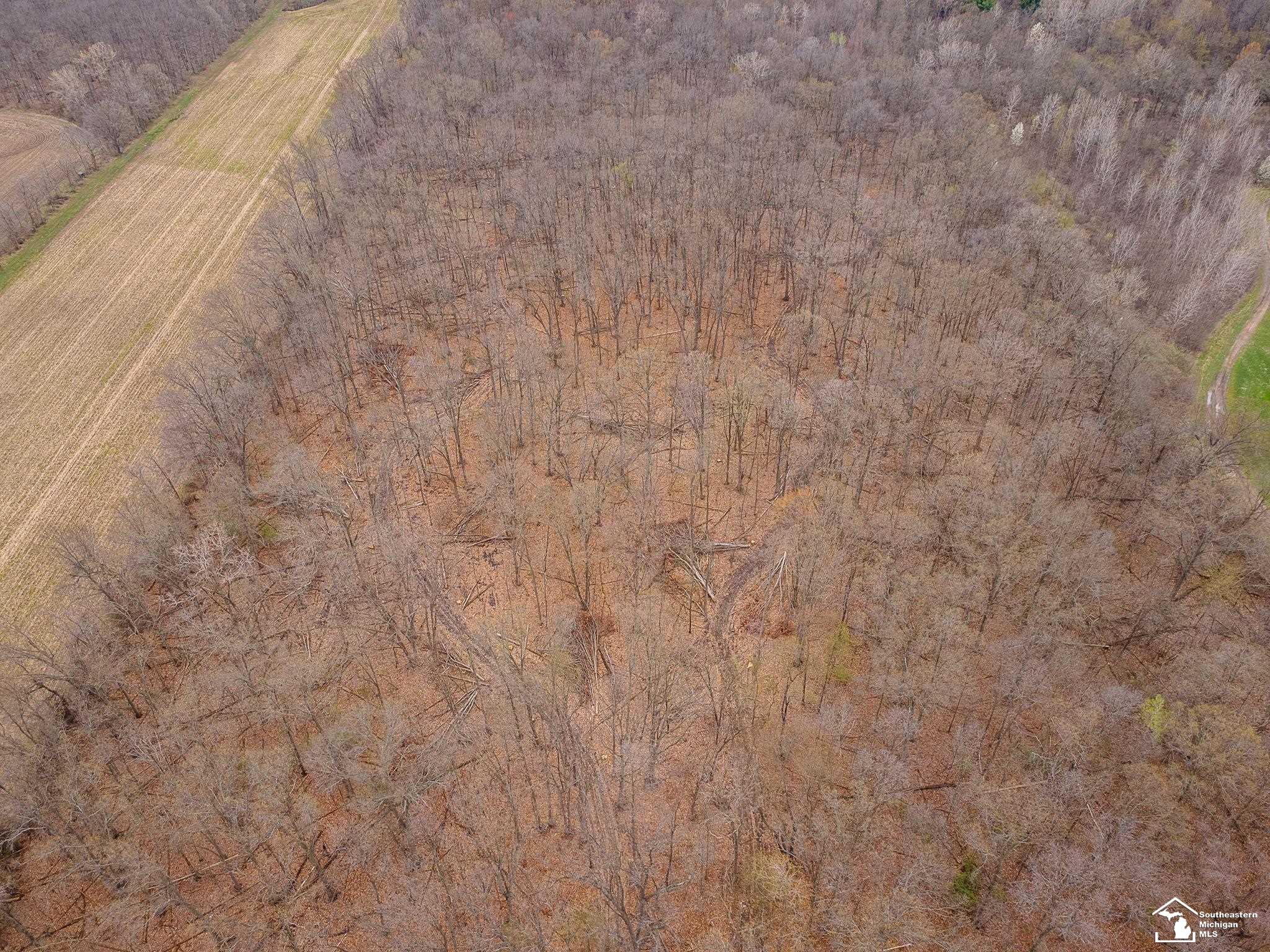 3455 West Albain Road Monroe, MI 48161 - Photo 65 of 78