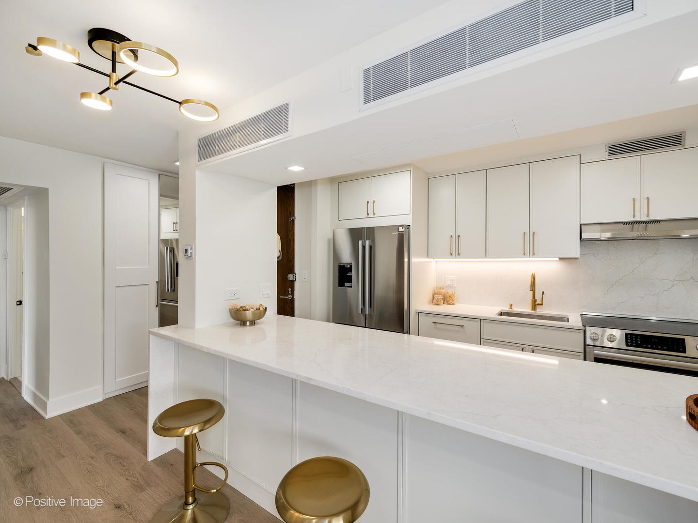 1310 North Ritchie Court, Unit 27B Chicago, IL 60610 - Photo 3 of 29 a kitchen with stainless steel appliances granite countertop a sink a stove a refrigerator and cabinets