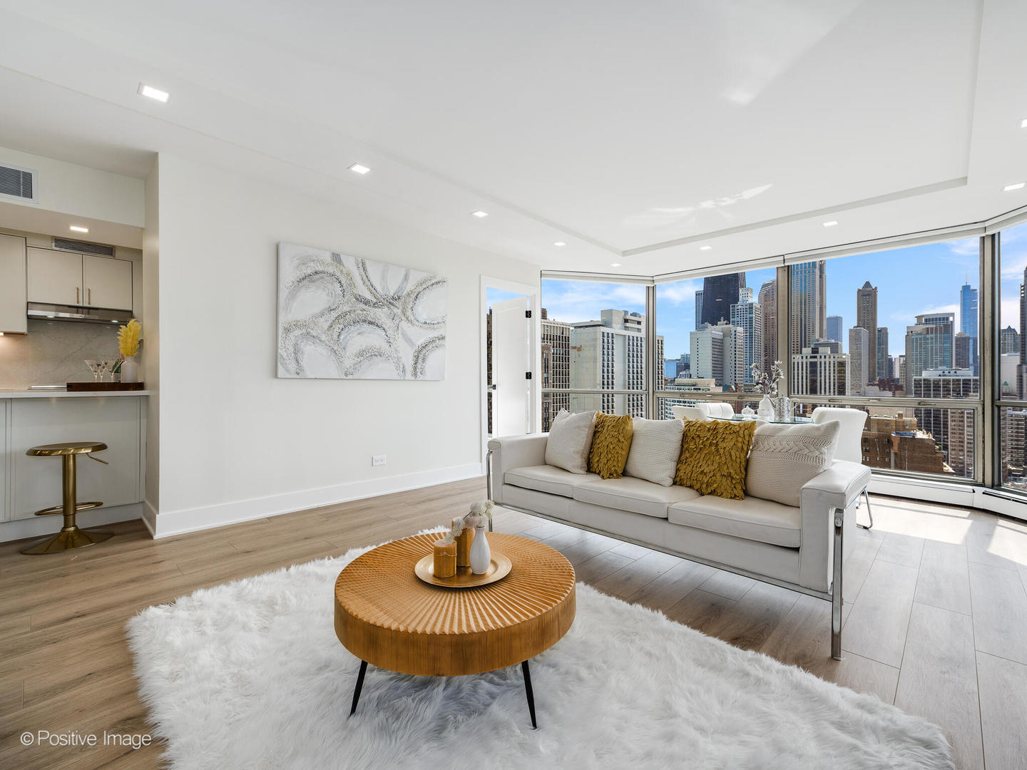 1310 North Ritchie Court, Unit 27B Chicago, IL 60610 - Photo 7 of 29 a living room with furniture and a rug