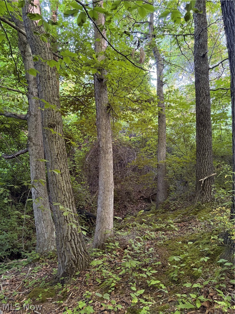 Sykes Ridge Road Clarington, OH 43915 - Photo 18 of 42