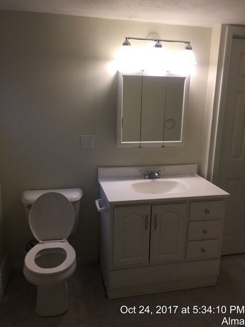 945 Iowa Street Alma, MI 48801 - Photo 15 of 21 1839524-14.JPG