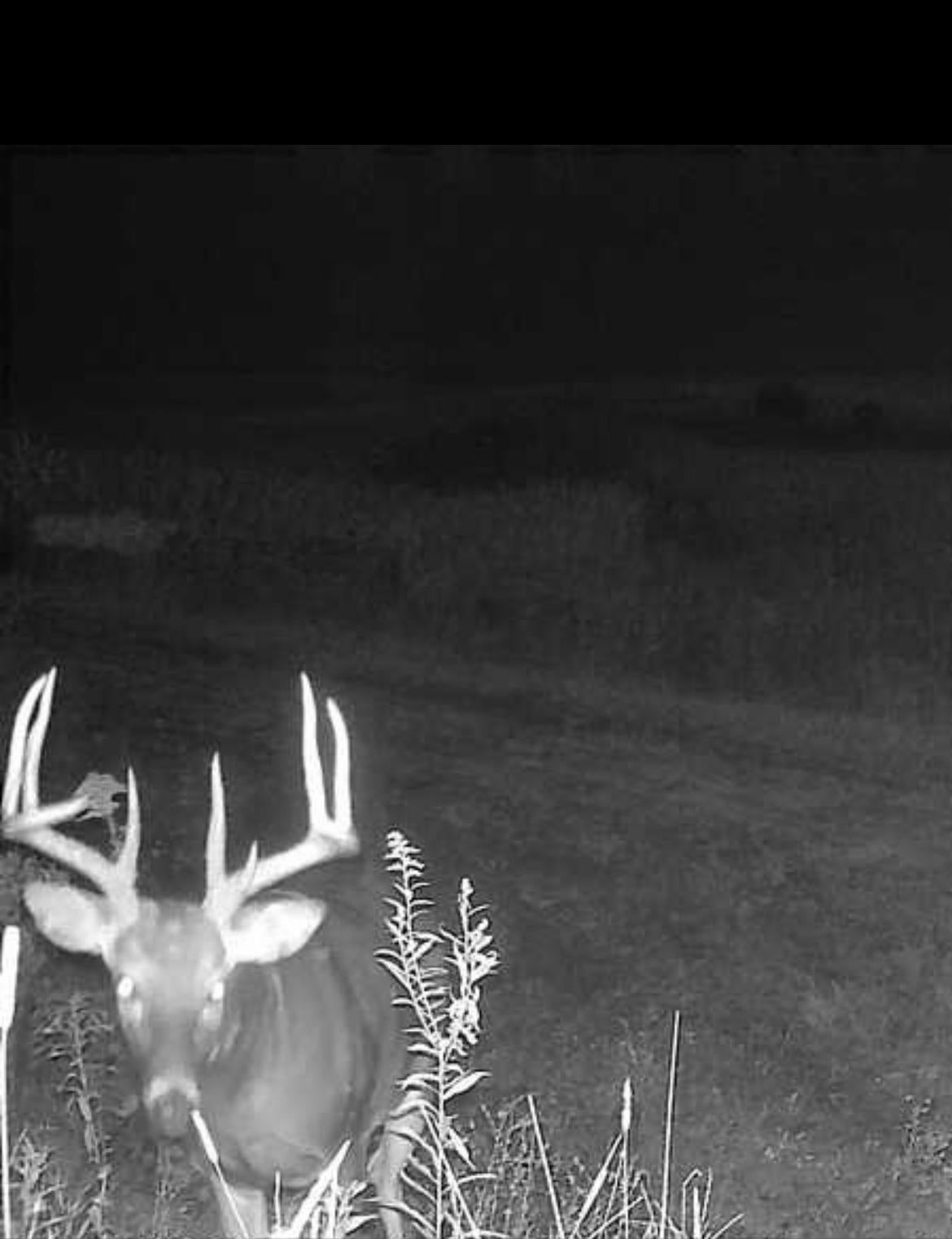 0 Bellevue-Cascade Road Bellevue, IA 52031 - Photo 19 of 19 Gallery Image 19