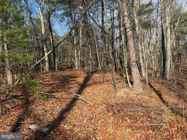 $59,000 | 5 Cooper Mountain View Drive, Capon Bridge, WV 26711