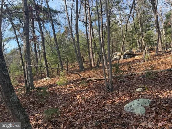 $59,000 | 5 Cooper Mountain View Drive, Capon Bridge, WV 26711