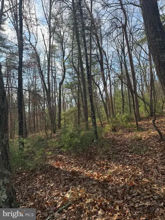 $59,000 | 5 Cooper Mountain View Drive, Capon Bridge, WV 26711